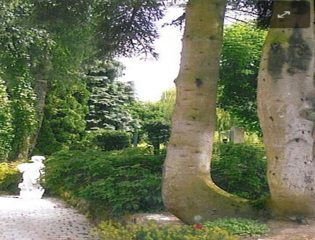 Pacé 7 , Le Haut Montraye מראה חיצוני תמונה